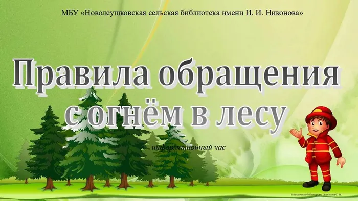 Правила обращения с огнём в лесу (информационный час)