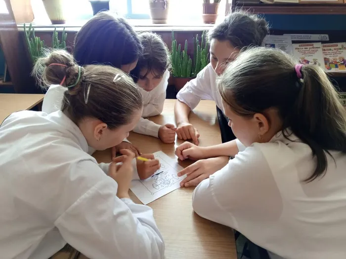 5597efb6-cd61-46f3-8cd3-98a7d43bd6f0