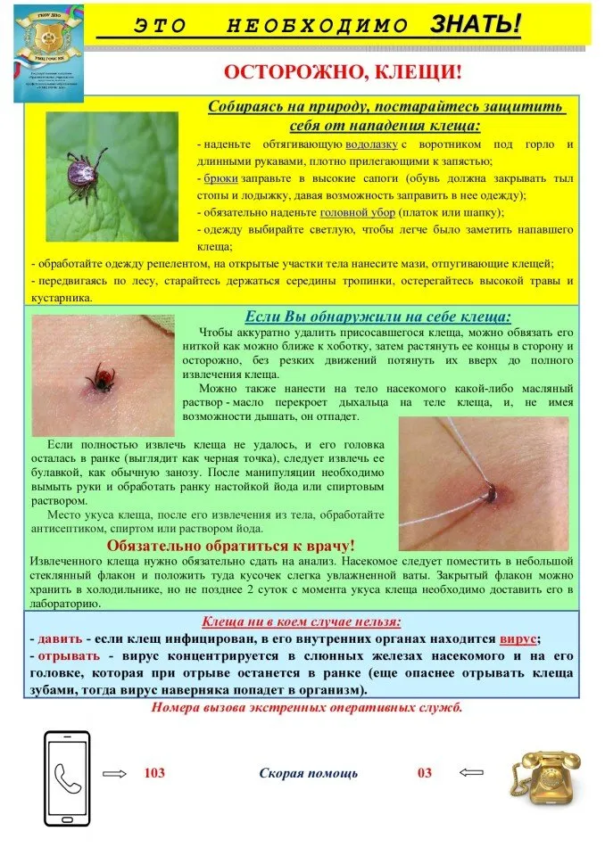 ¦ЮTБTВ¦-TА¦-¦¦¦-¦- ¦¦¦¬¦¦TЙ¦¬_page-0001