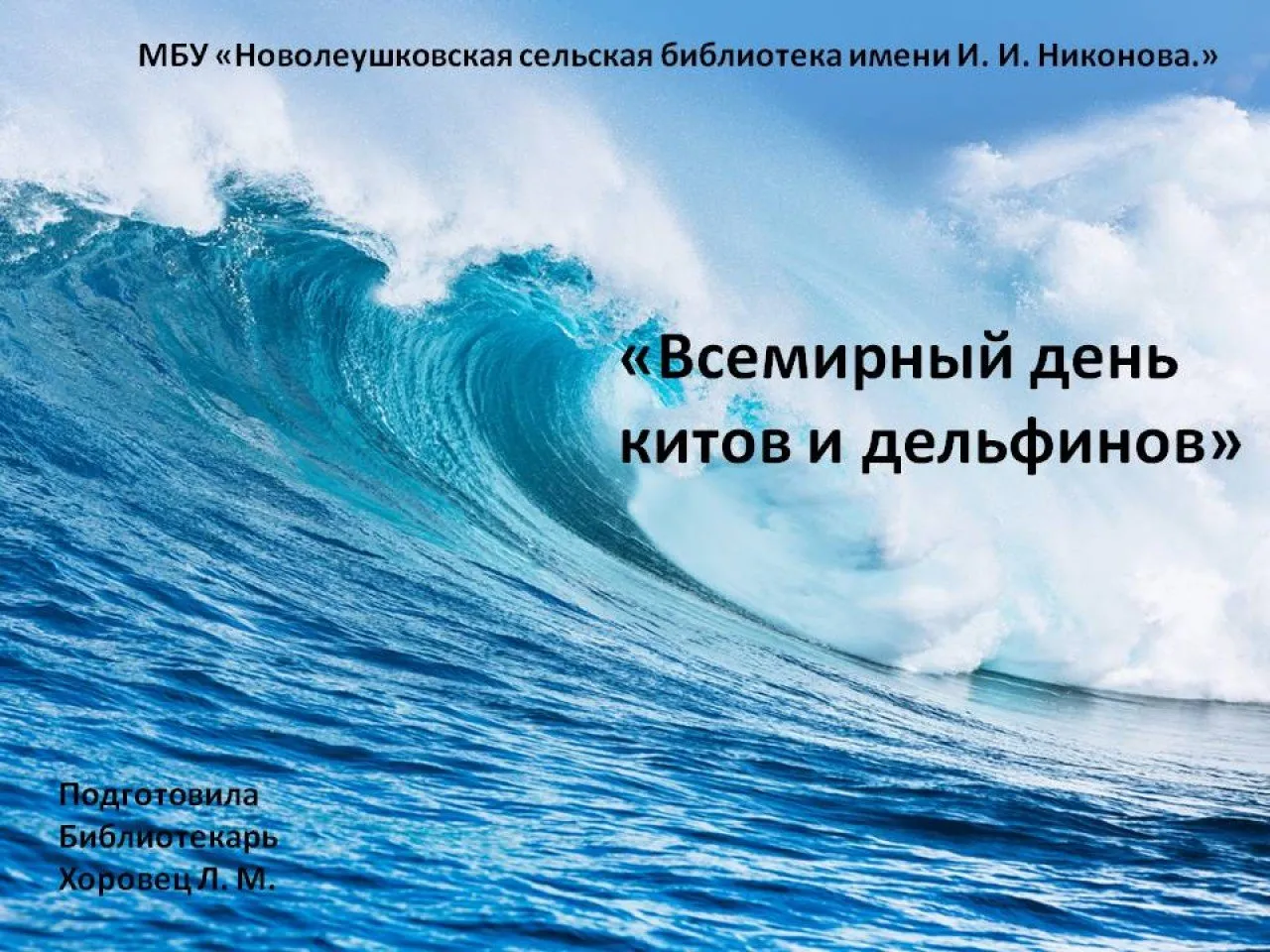 всемирный день китов и дельфинов