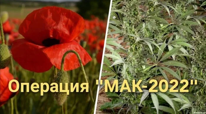 mak-2022-e1663659330771-1