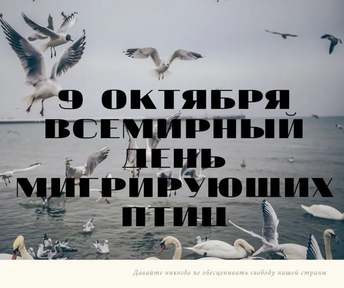 9 октября Всемирный день мигрирующих птиц