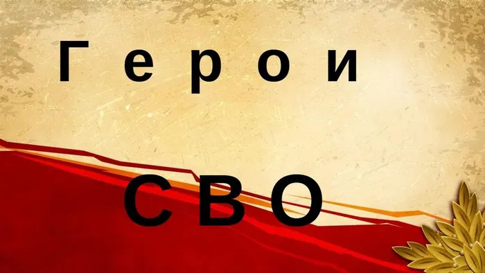 фото участников СВО 2026