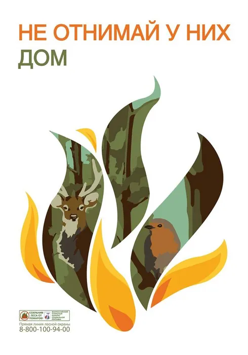 москва_белесева елена