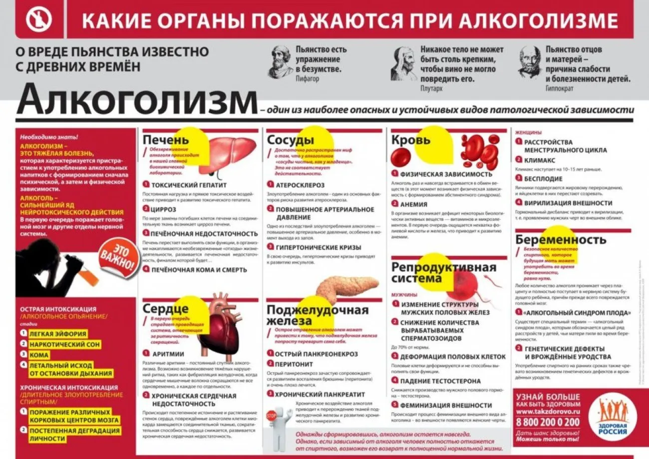 какие органы поражаются при алкоголизме
