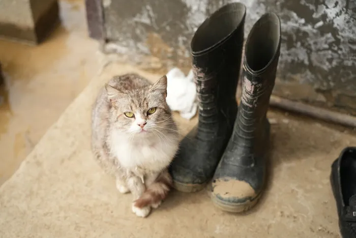 DSC08860